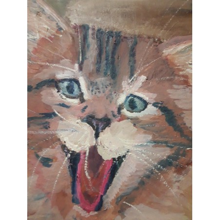 Chat riant 40*29 cm