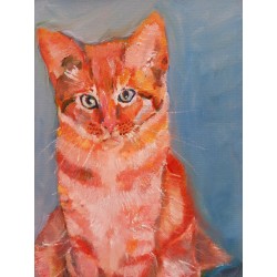 Chat rouge 50*40cm