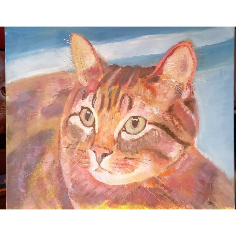 Chat 55*65cm