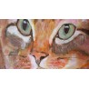 Chat 55*65cm